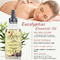 Aceite orgánico del masaje del cuidado de piel del eucalipto para la hembra
