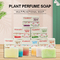 Aceite esencial hecho a mano orgánico de la planta de perfume del jabón del ODM que blanquea el jabón de retrete del baño del cuerpo